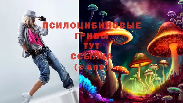 молекула духа Остров