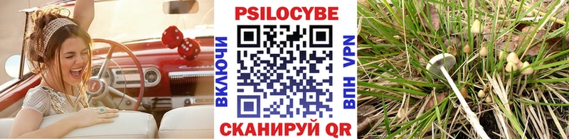 Галлюциногенные грибы ЛСД  Новодвинск 